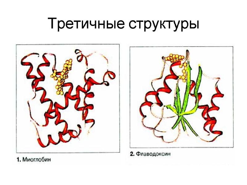 Третичные структуры
